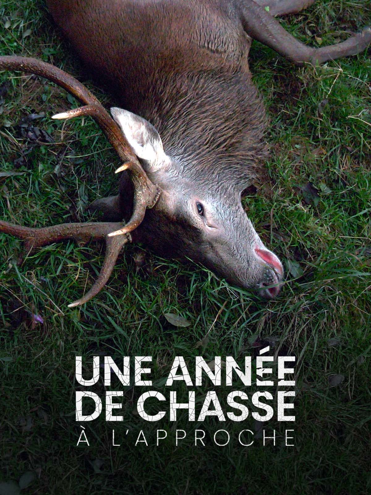 programme
