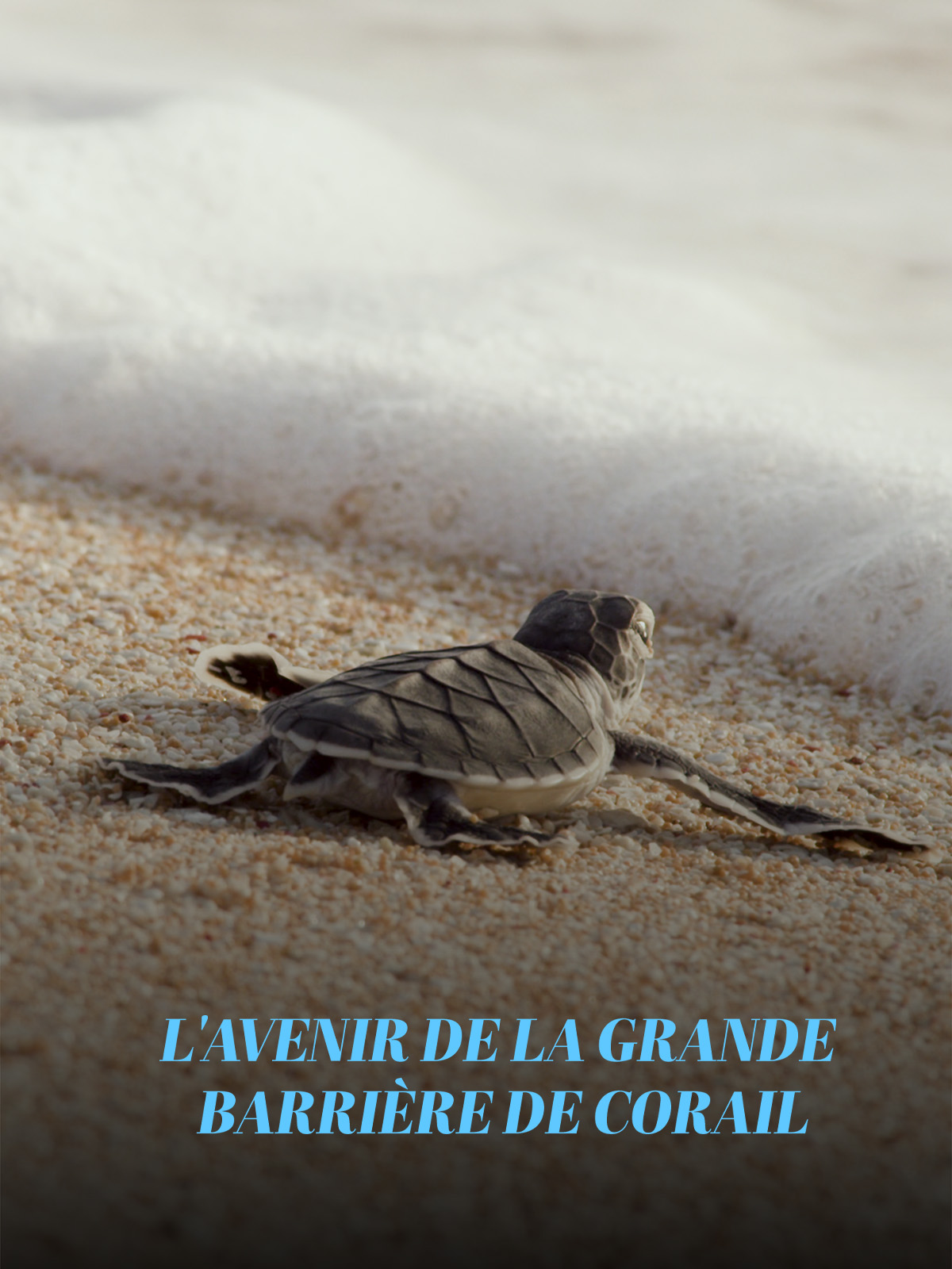 programme