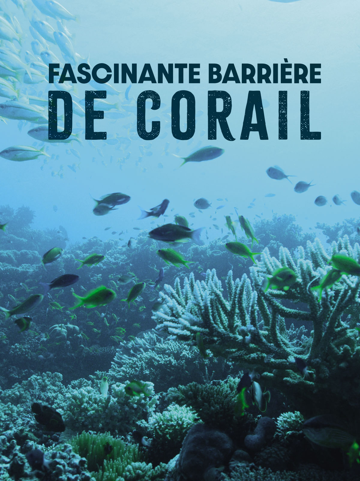 programme